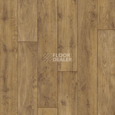 Ковролин Forbo Flotex Vision Naturals 010035 Distressed Oak фото 1 | FLOORDEALER